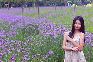 一起参加教堂或寺庙活动 一起参加教堂或寺庙活动